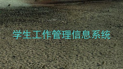 学生工作管理信息系统