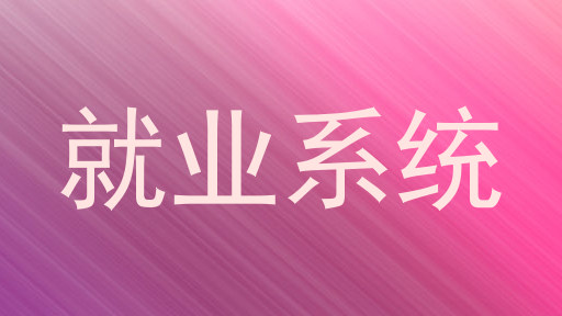 就业系统