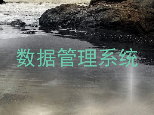 数据管理系统