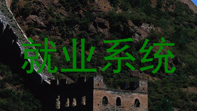 就业系统