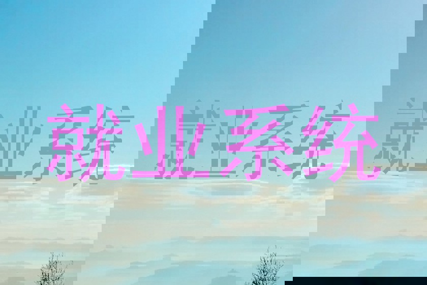 就业系统