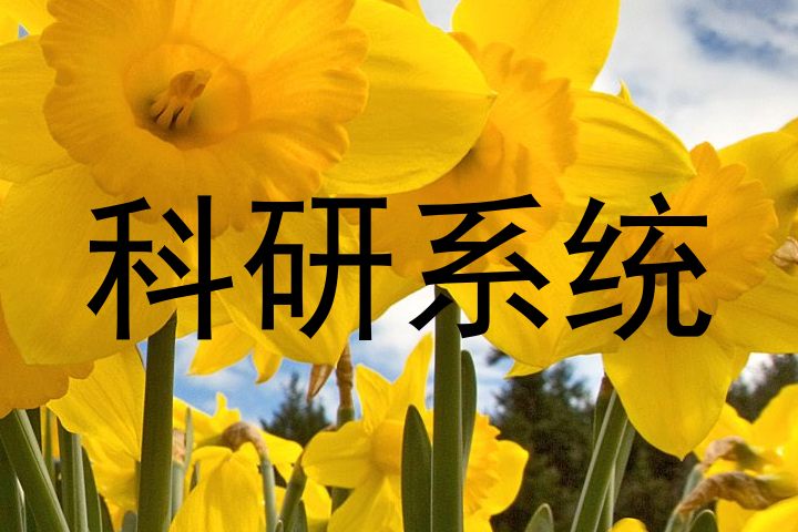 科研系统