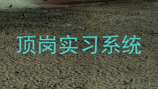 顶岗实习系统
