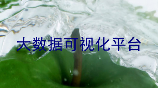 大数据可视化平台