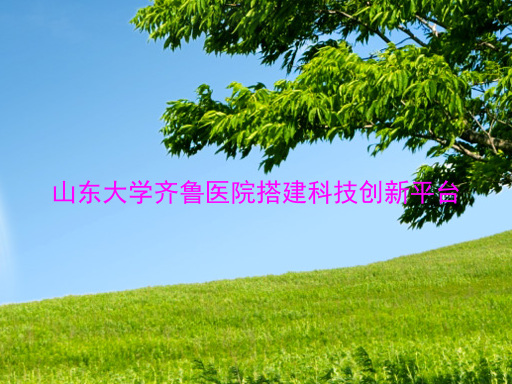 山东大学齐鲁医院搭建科技创新平台