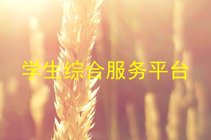 学生综合服务平台
