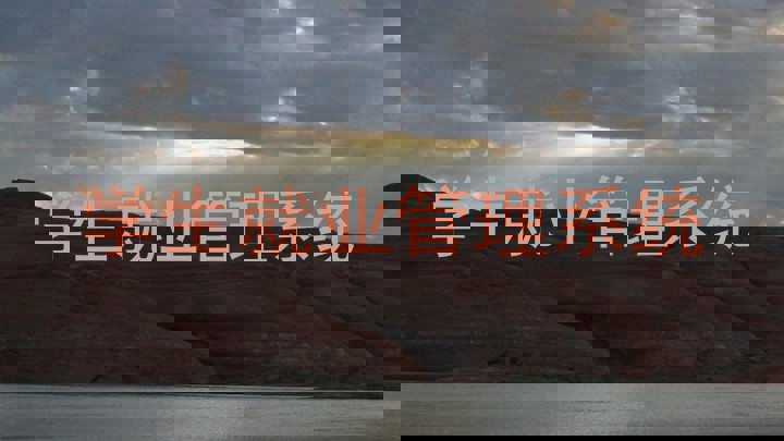 学生就业管理系统