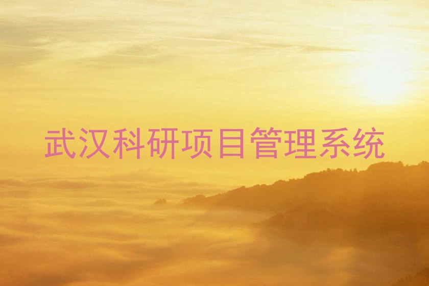 武汉科研项目管理系统