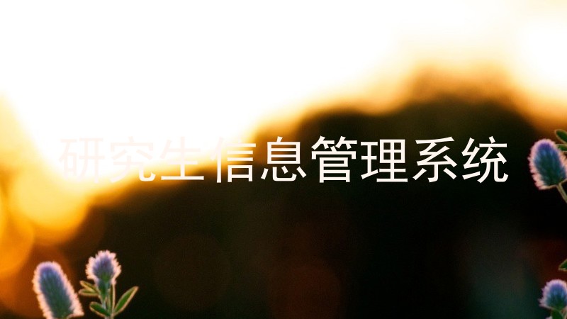 研究生信息管理系统