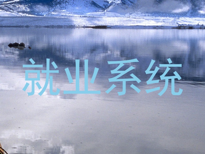 就业系统
