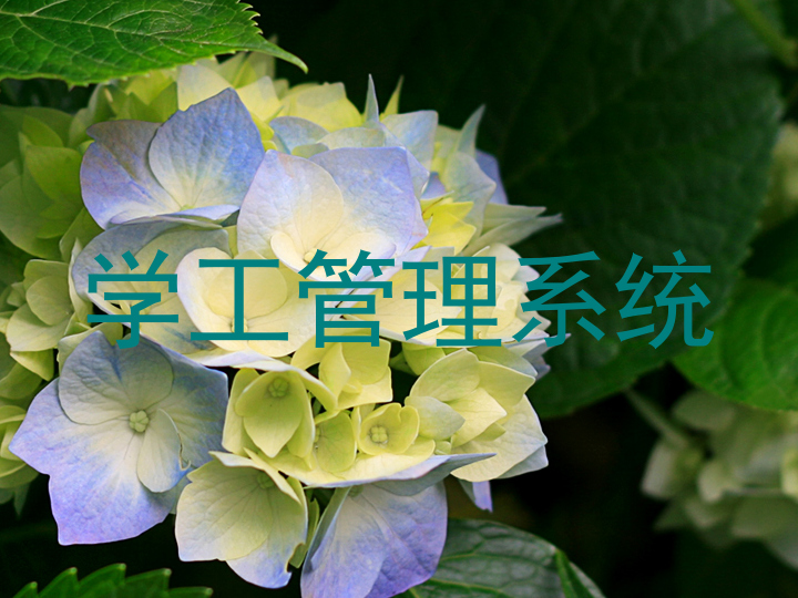 学工管理系统