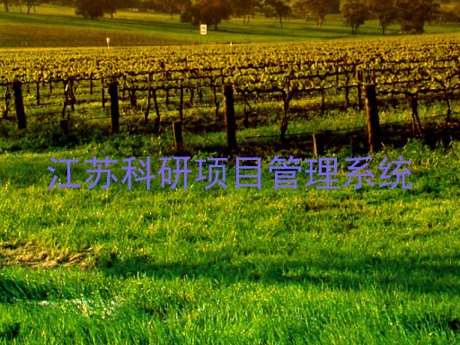 江苏科研项目管理系统