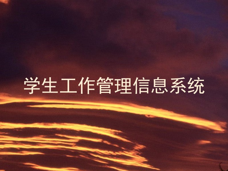 学生工作管理信息系统