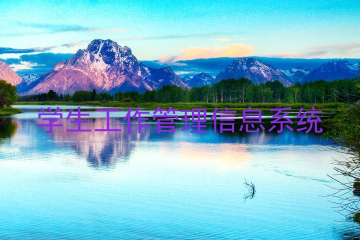 学生工作管理信息系统