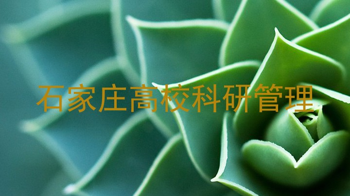石家庄高校科研管理