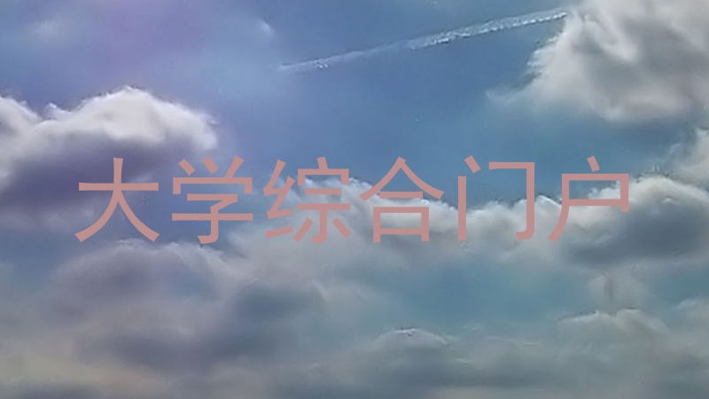 大學(xué)綜合門戶