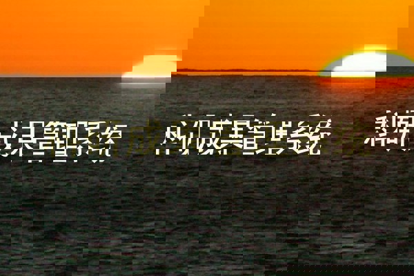 科研成果管理系统