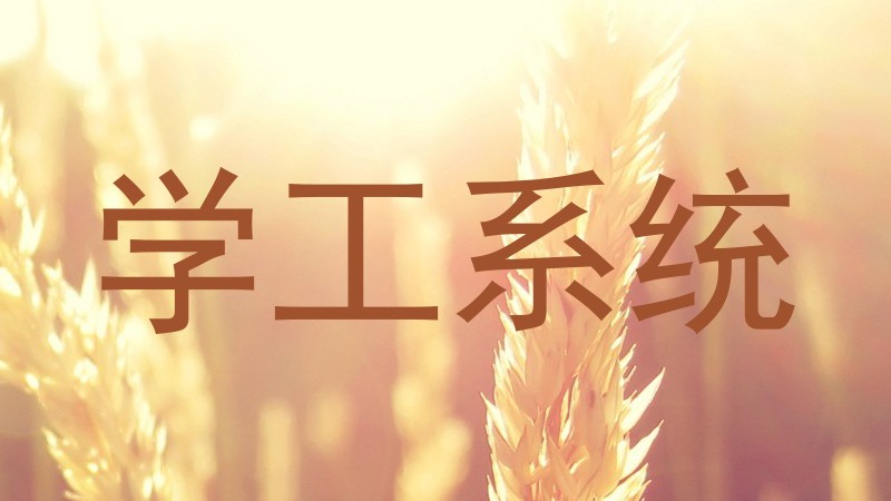 学工系统