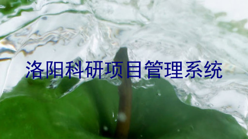 洛阳科研项目管理系统