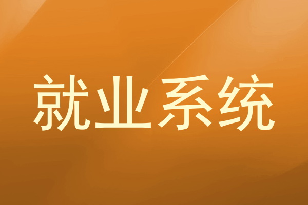 就业系统