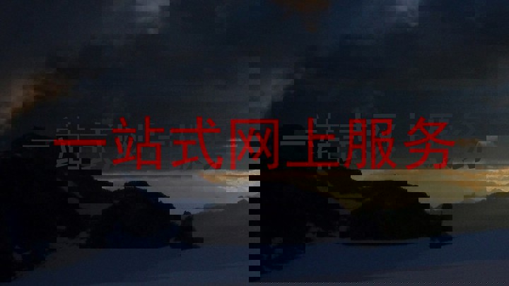 一站式网上服务