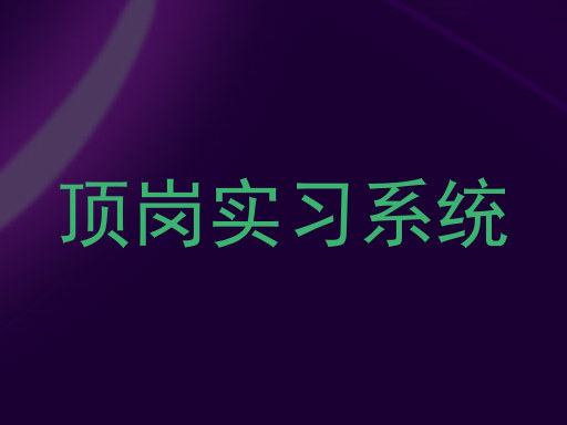 顶岗实习系统