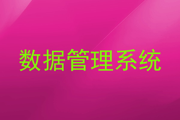 数据管理系统