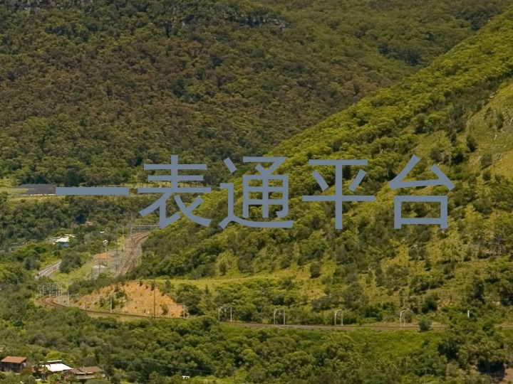 一表通平台
