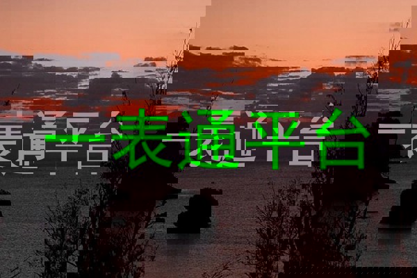 一表通平台