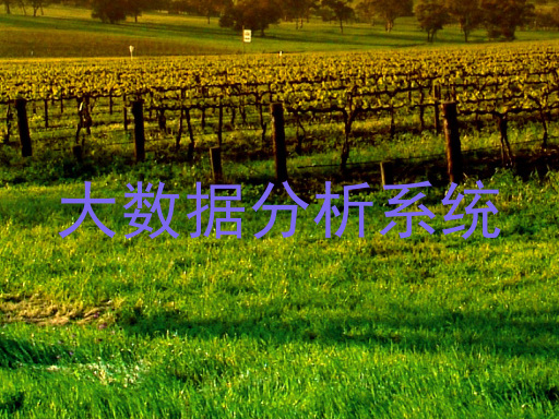 大数据分析系统