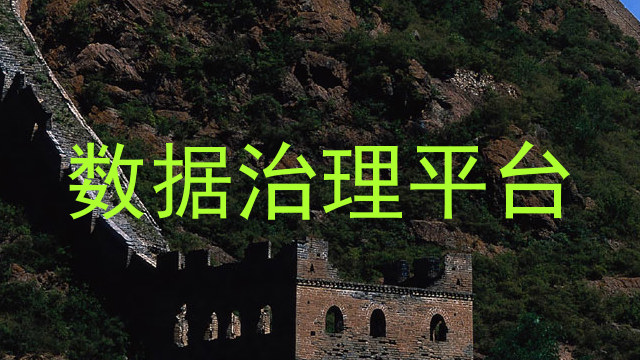 数据治理平台