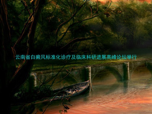 云南省白癜风标准化诊疗及临床科研进展高峰论坛举行