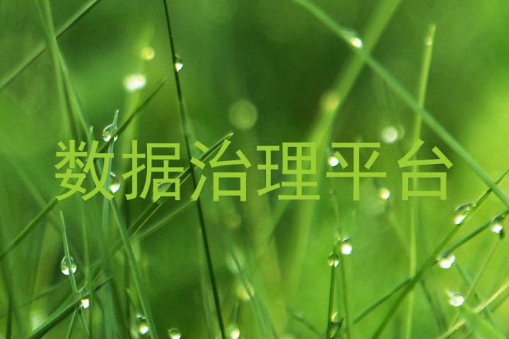 数据治理平台