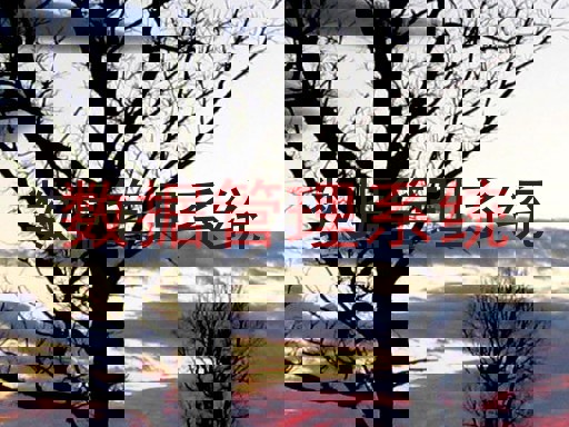数据管理系统