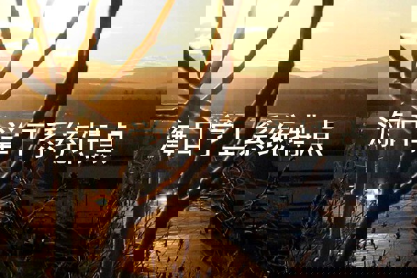 海口学工系统特点