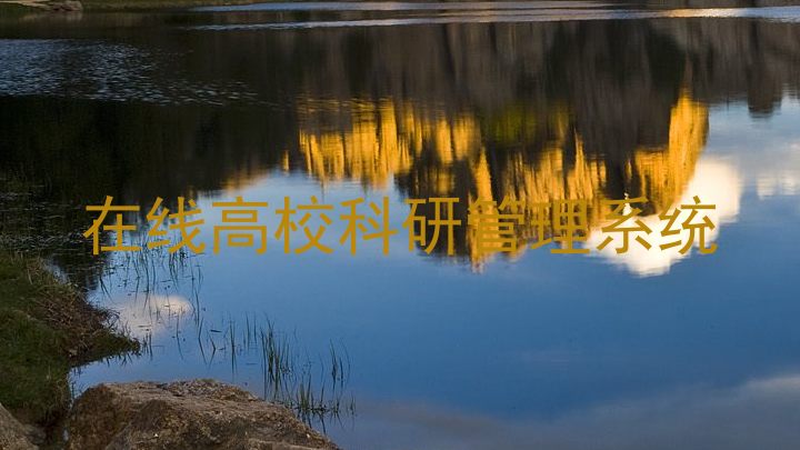 在线高校科研管理系统
