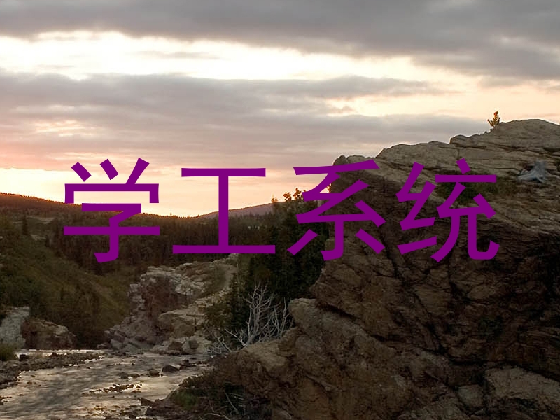 学工系统