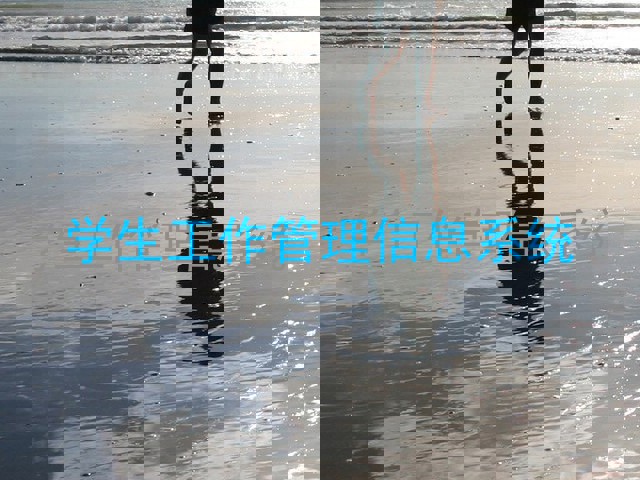 学生工作管理信息系统