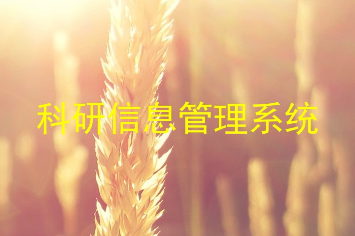 科研信息管理系统