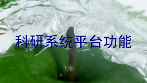 科研系统平台功能