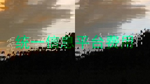 统一信息平台费用