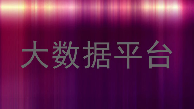 大数据平台