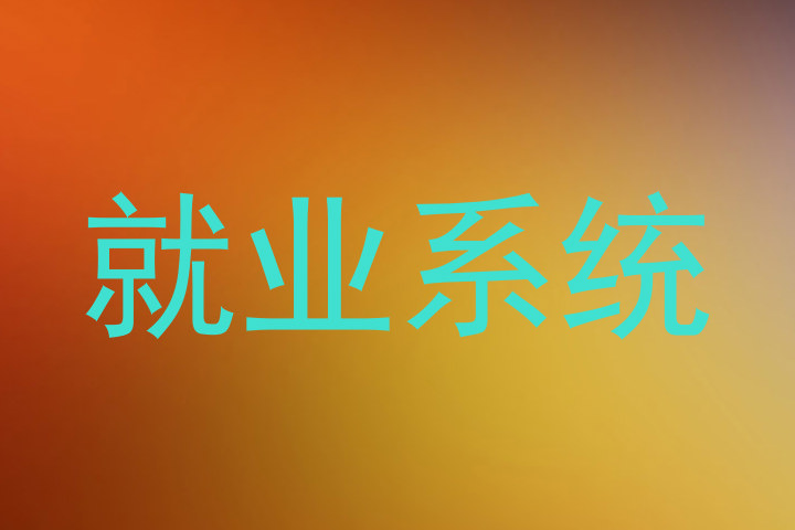 就业系统