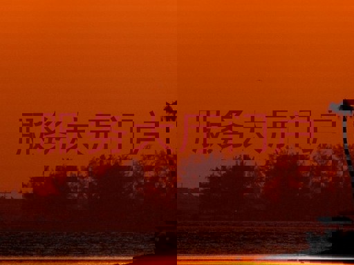 服务大厅门户