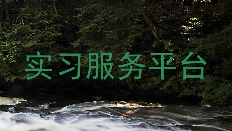 实习服务平台