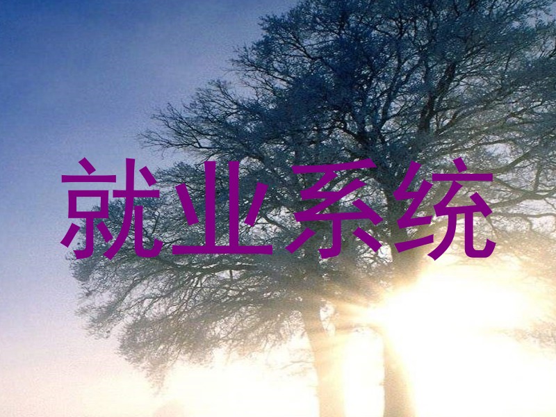就业系统