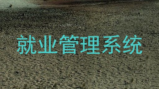 就业管理系统