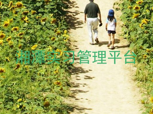 湘潭实习管理平台