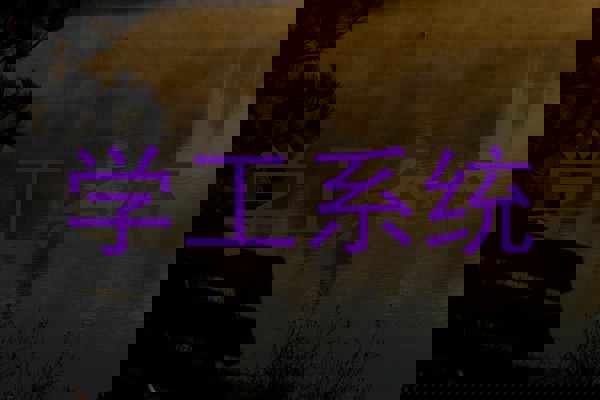 学工系统