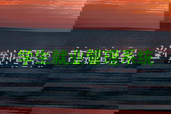 学生就业管理系统